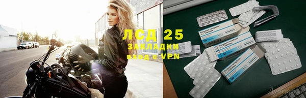 дживик Аркадак
