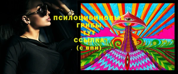 дживик Аркадак