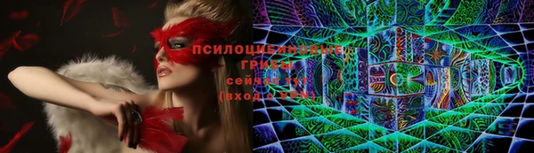 бошки Алексин