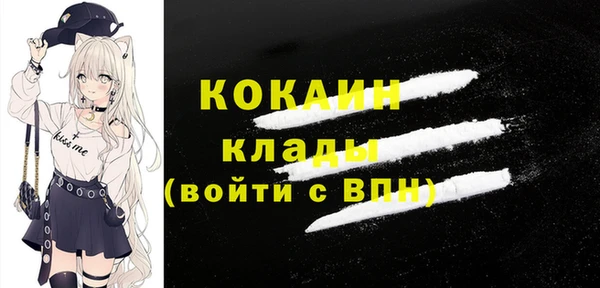дживик Аркадак