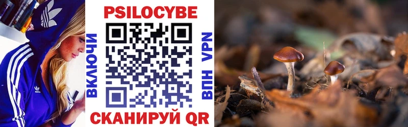 Галлюциногенные грибы Psilocybe  Дыгулыбгей 
